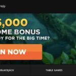 5dimes casino no deposit bonus codes 2020