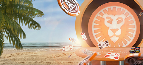 netent slots de cassino