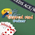 casino app south africa