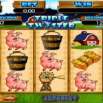 hot safari slot online