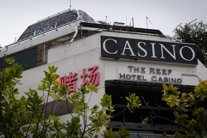 d casino
