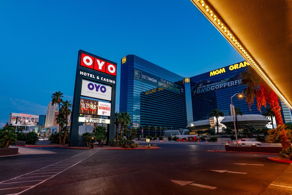 betmgm nj casino app