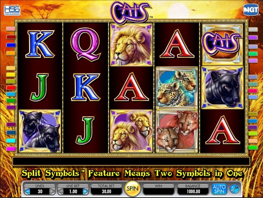 juegos de casino gratis tragamonedas 88
