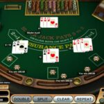 zany zebra slot games