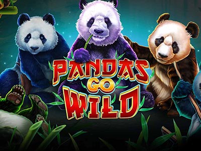 Top Casino en ligne qui accepte visa cards