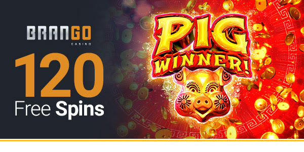 online casino highest payout