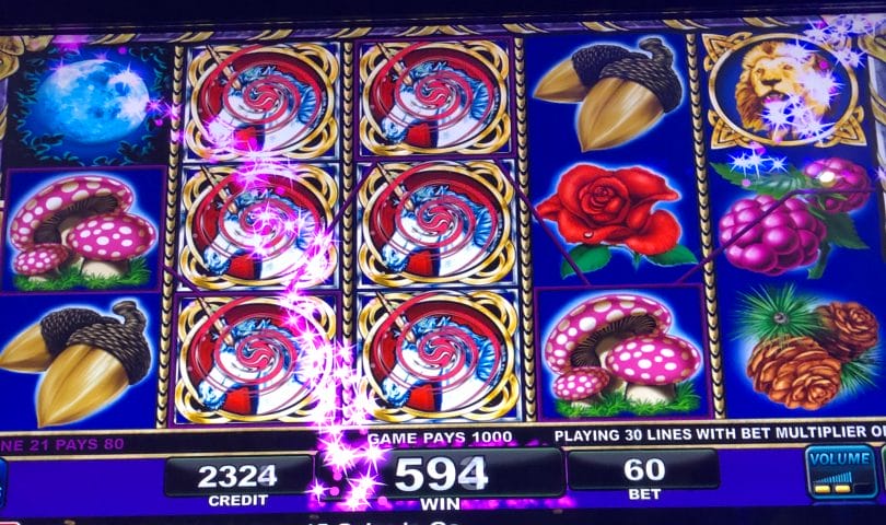 free 5 euro no deposit bonus casino ireland