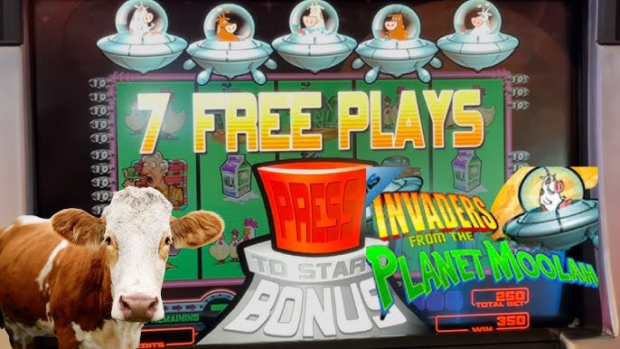 the online casino no deposit bonus codes