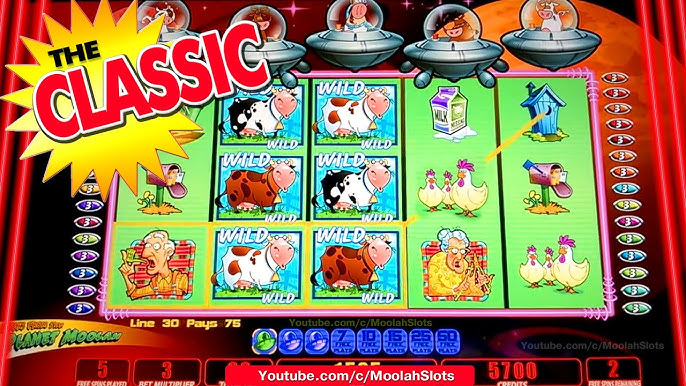 casino slots app free download