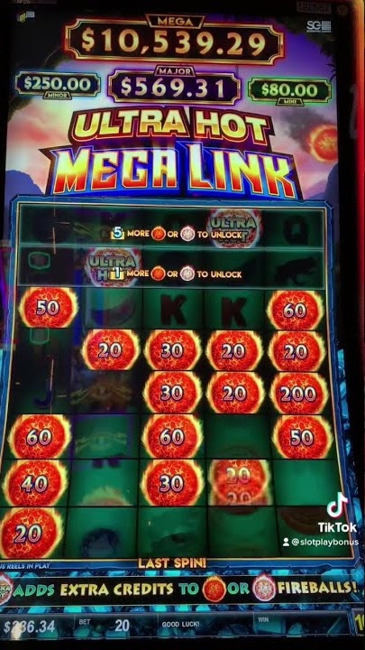 cash o lot casino no deposit bonus