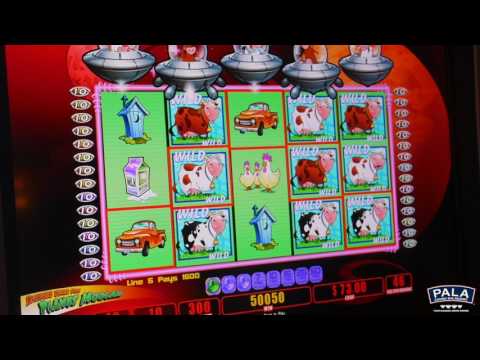 Casino mr bet Login