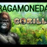 Slot de casino wild gambler