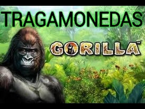 Slot de casino wild gambler
