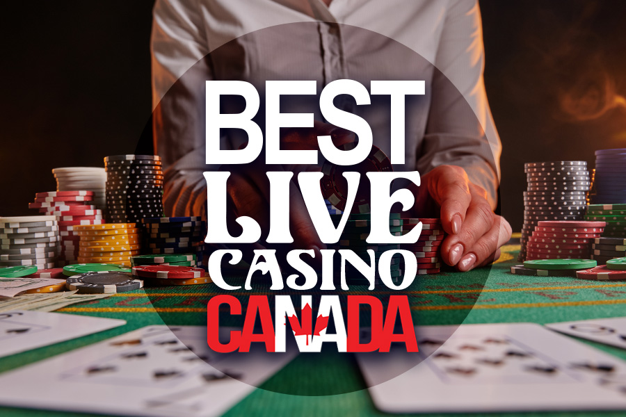BetX101 casino