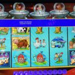 dolphin reef slot play