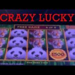 no deposit bonus casino january 2020