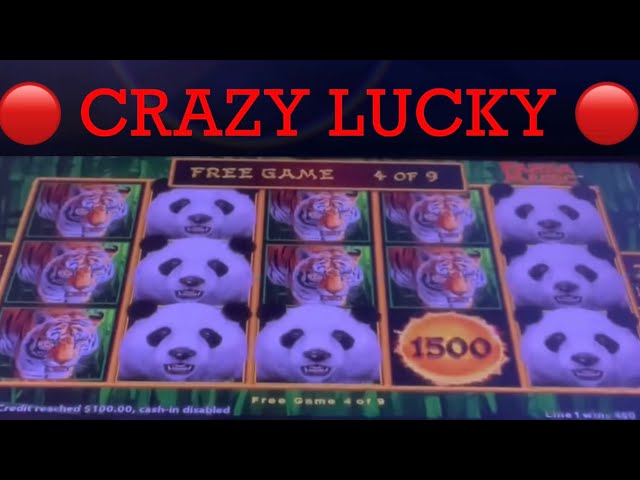 no deposit bonus casino january 2020