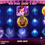 online casino operators
