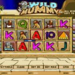 online casino d