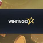 top online casino king casino bonus