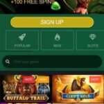 microgaming Spielautomatenspiele
