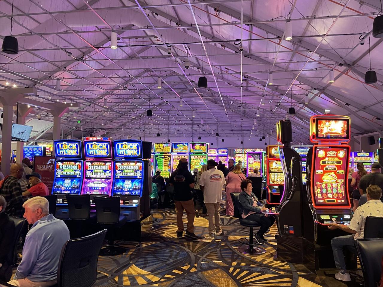 20 bet casino
