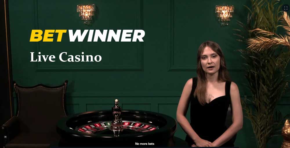 0cean online casino