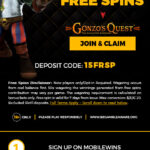 online casino operator