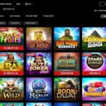 panda pokie free spins