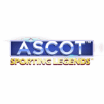 mr bet casino test