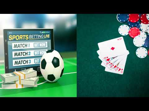 betting tips for cricket world cup