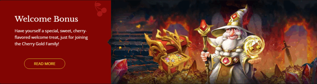 Herr Bet Casino Bonus